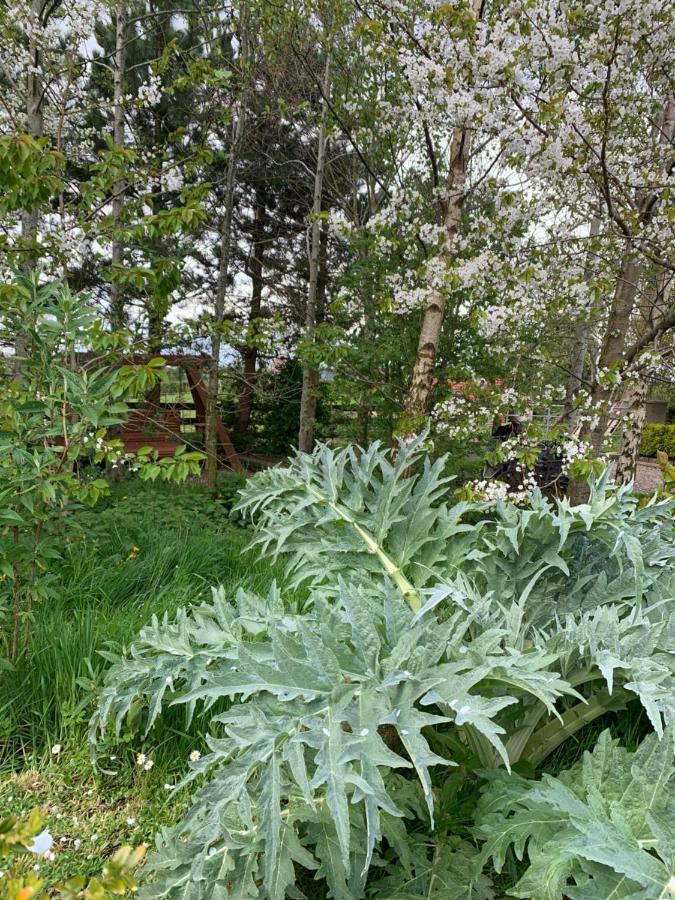 Windyridge Bed & Breakfast Aghagallon Bagian luar foto